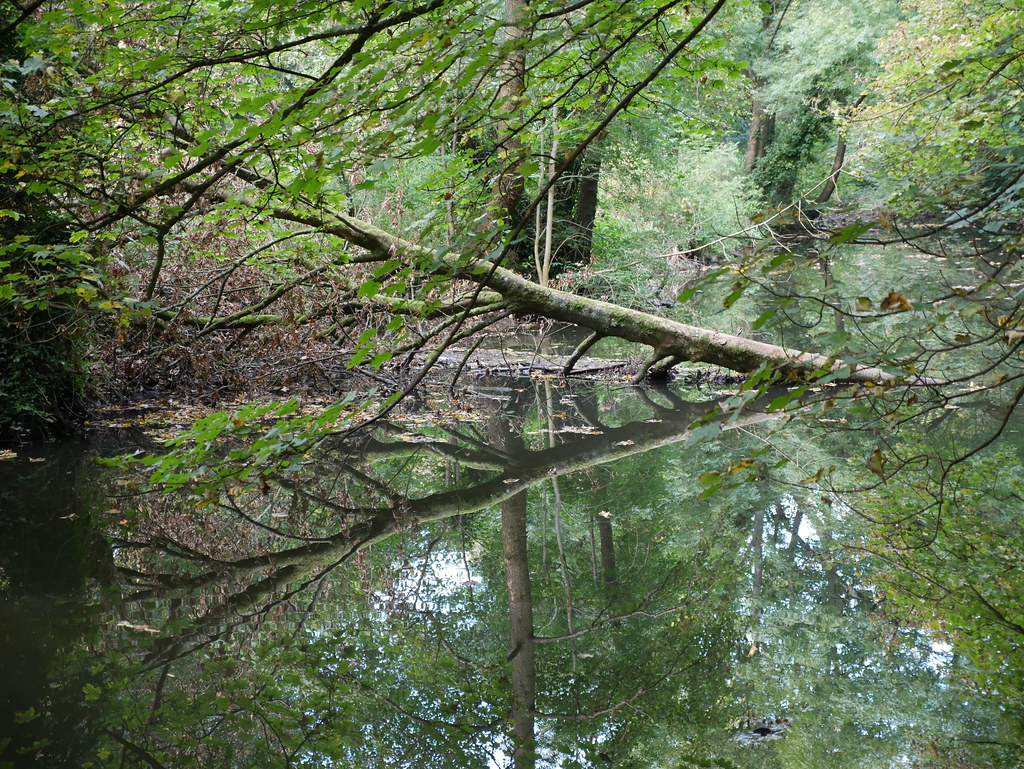 Downend, Cleeve Wood and Bromley Heath, Bristol — local photo 38
