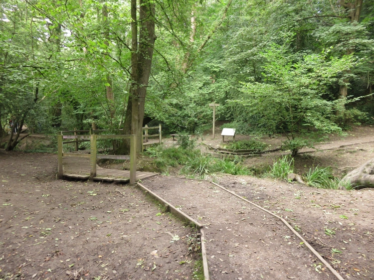 Downend, Cleeve Wood and Bromley Heath, Bristol — local photo 40