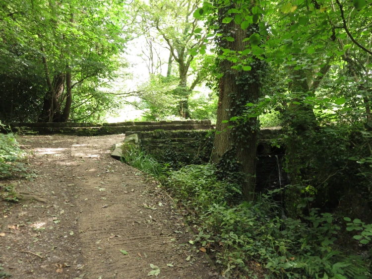 Downend, Cleeve Wood and Bromley Heath, Bristol — local photo 19