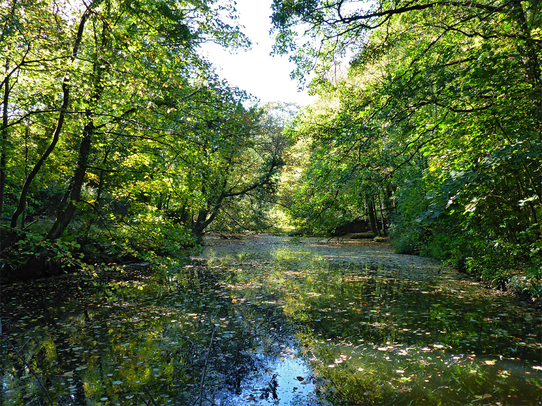 Downend, Cleeve Wood and Bromley Heath, Bristol — local photo 52