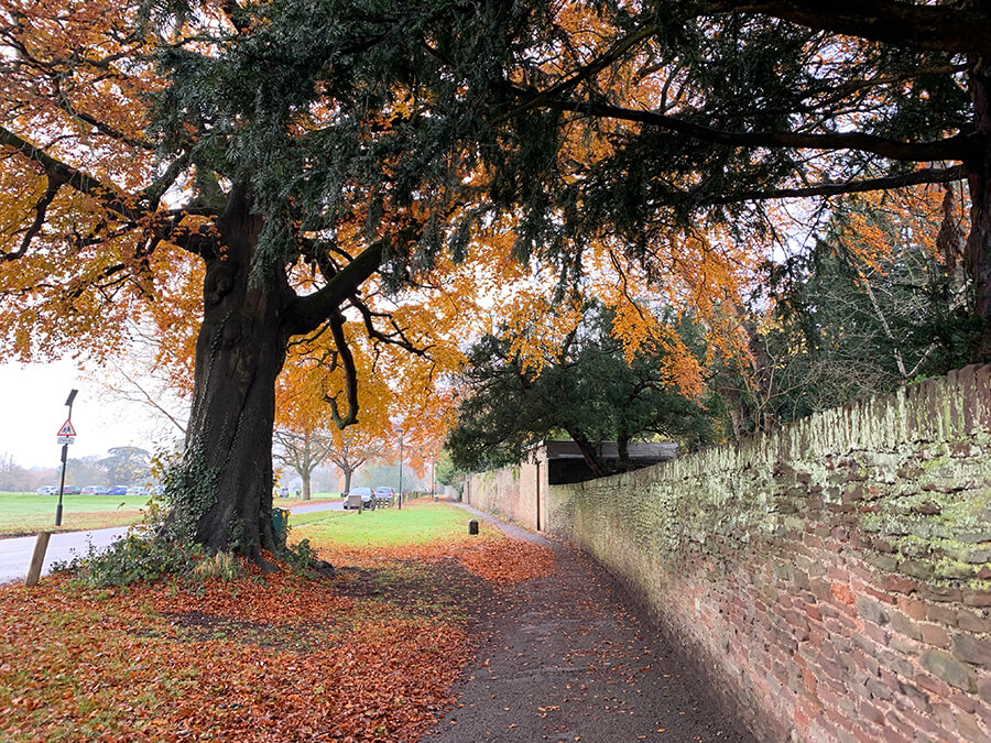 Frenchay area in Bristol